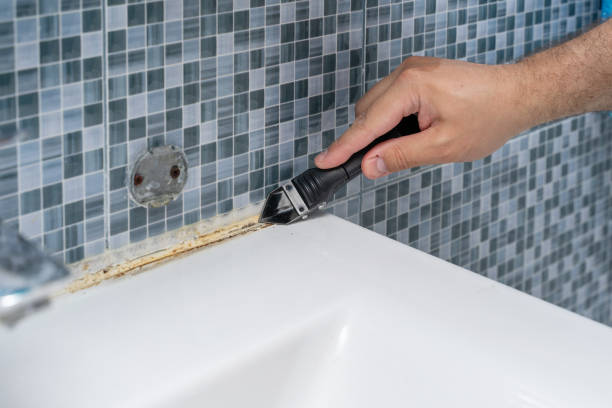 Best Health and Safety Mold Remediation in Owensville, MO