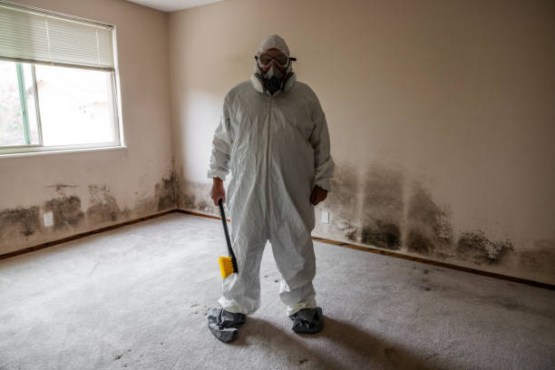 Best DIY Mold Remediation Support Services in Owensville, MO